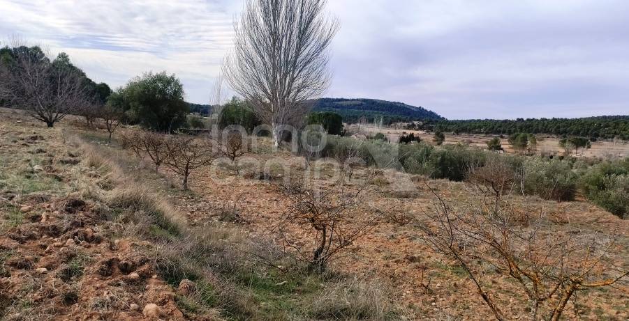 Venta - Finca - Bocairent