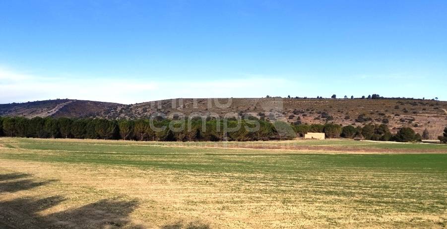 Te koop - Rustiek land - Agres