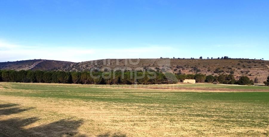 For sale - Rustic Land - Agres