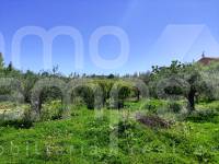 Venta - Casa de Campo - Cocentaina