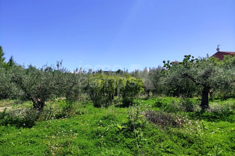 Venta - Casa de Campo - Cocentaina