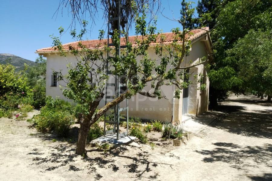 For sale - Country House - Agres