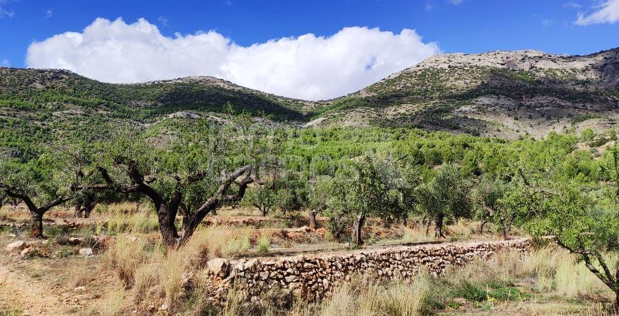 Venta - Casa de Campo - Muro de Alcoy