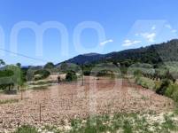 Venta - Finca - Bocairent