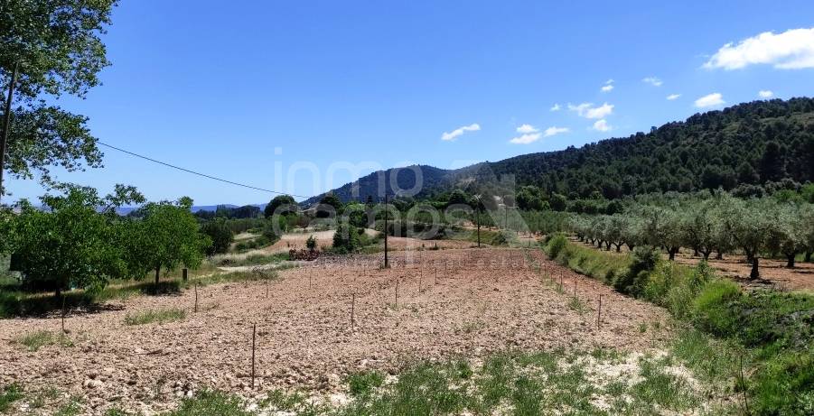 Venta - Finca - Bocairent