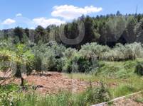 Venta - Finca - Bocairent