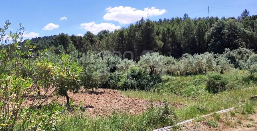 Venta - Finca - Bocairent