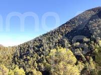 For sale - Finca - Alcoy