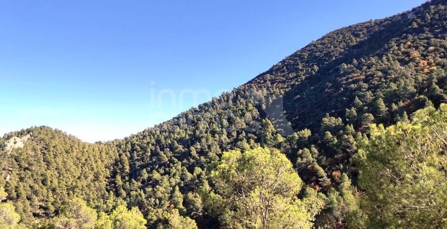 For sale - Finca - Alcoy