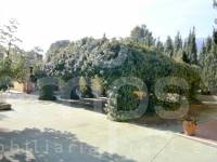 Venta - Casa de Campo - Cocentaina