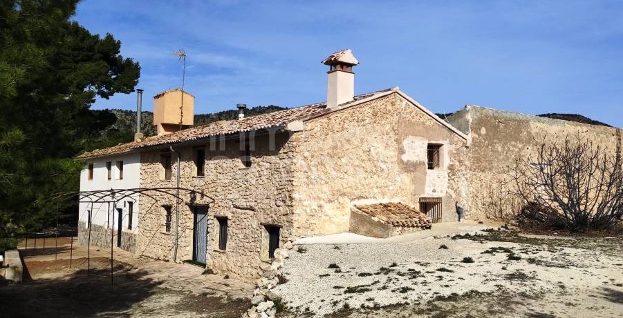 Venta - Finca - Torremanzanas