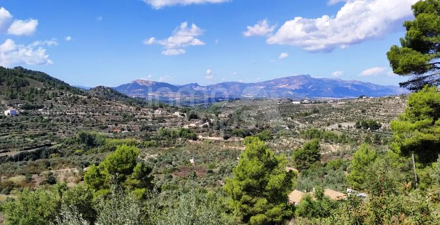 Te koop - Landhuis - Benasau