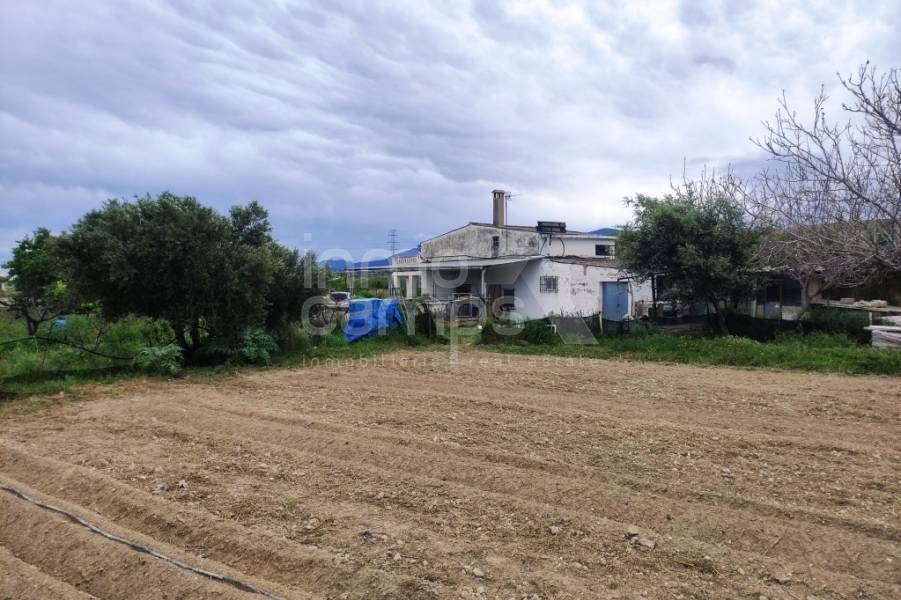 Te koop - Landhuis - Albaida