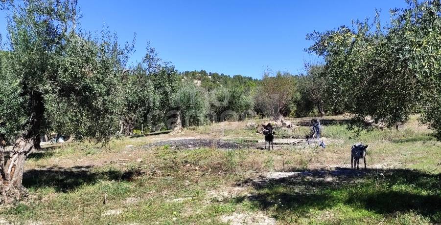 Te koop - Landhuis - Cocentaina