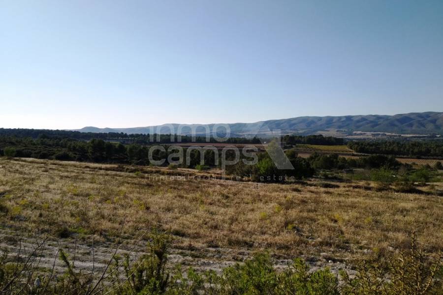 For sale - Finca - Ontinyent