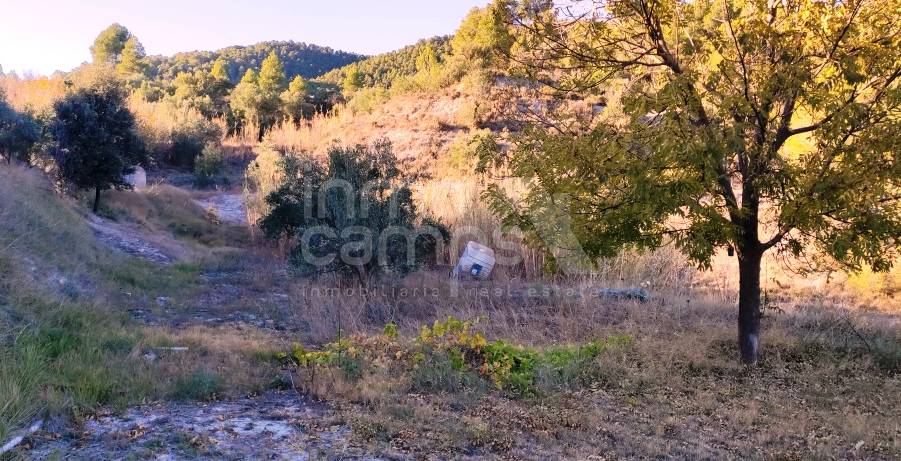 Venta - Finca - Alcoy