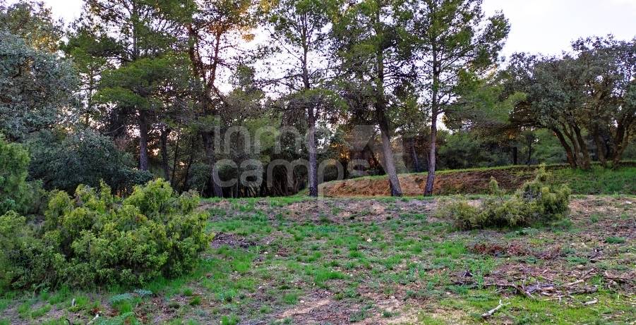 For sale - Finca - Bocairent