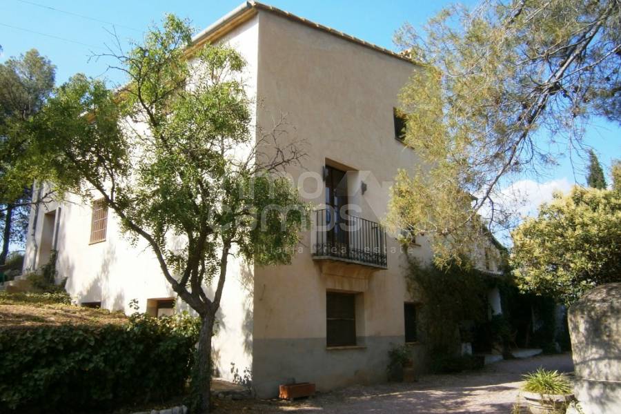 Venta - Finca - Millena