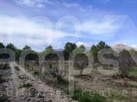 Venta - Casa de Campo - Planes