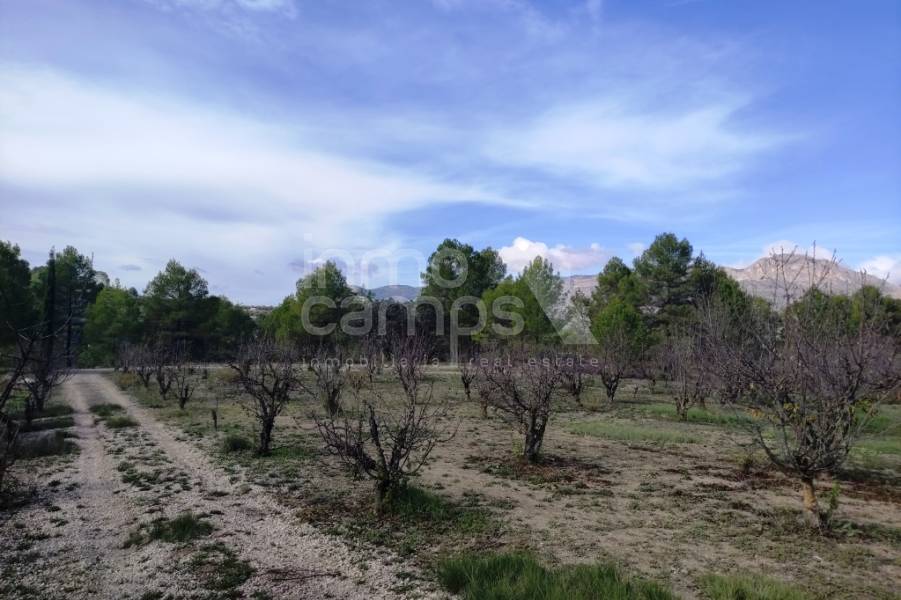 Venta - Casa de Campo - Planes