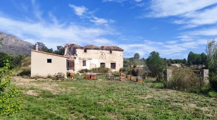 Finca - For sale - Alcocer de Planes - Alcocer de Planes