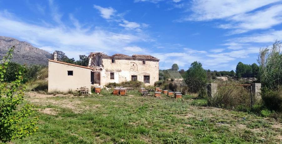 For sale - Finca - Alcocer de Planes