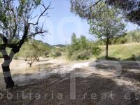 For sale - Country House - Penáguila