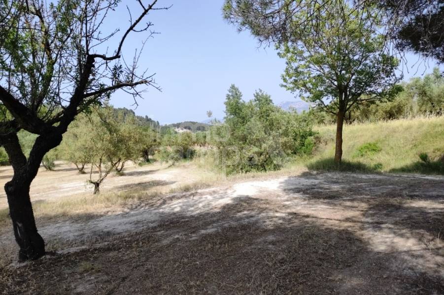 For sale - Country House - Penáguila