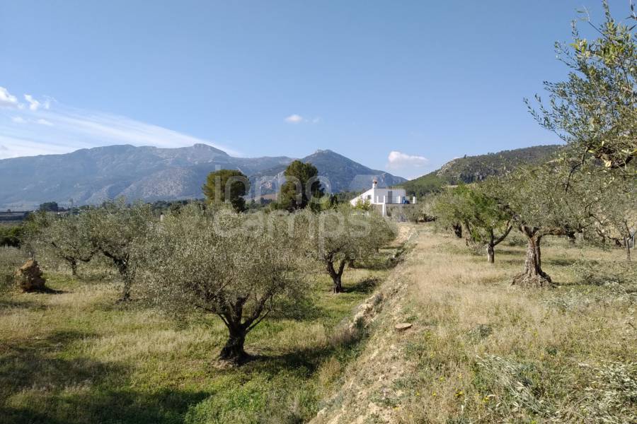 Venta - Casa de Campo - Muro de Alcoy