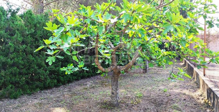 Te koop - Villa - Cocentaina