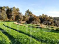 For sale - Finca - Bocairent