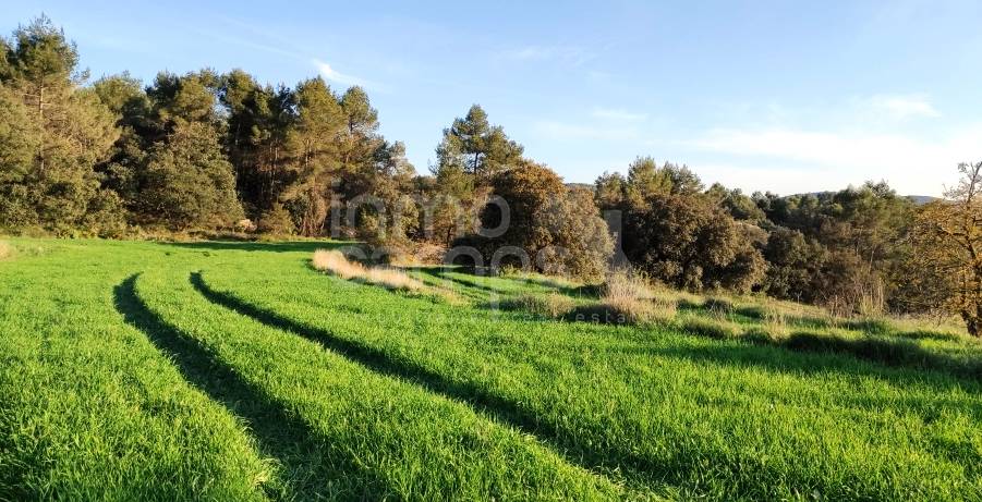 For sale - Finca - Bocairent