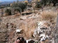 Te koop - Finca - Agres